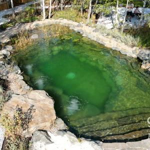 Дизайн без названия (17)