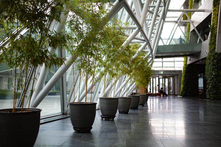 beautiful-shot-of-seoul-city-hall-interior-decorat-2025-02-02-21-06-06-utc