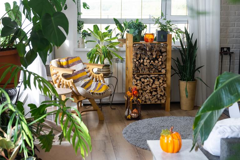 bright-sunny-interior-of-the-house-with-with-firew-2024-11-01-17-13-26-utc