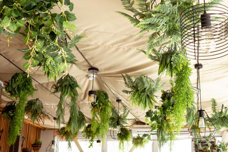 cafe-interior-with-elements-of-biophilic-design-t-2025-02-21-18-27-10-utc