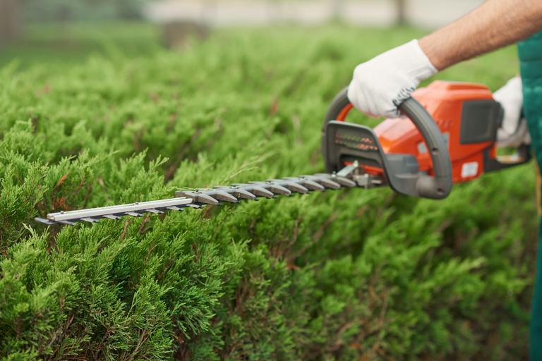 close-up-of-gargener-trimming-bushes-2025-03-26-14-29-55-utc