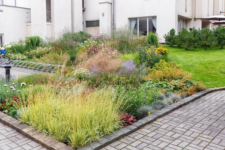 complex-flower-bed-of-perennial-plants-2025-03-13-04-52-05-utc
