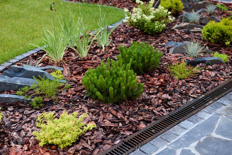 creating-beautiful-landscaping-features-with-color-2025-04-03-20-59-04-utc