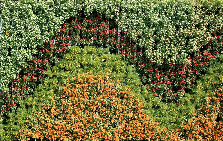 flower-wall-vertical-garden-2025-03-08-01-02-13-utc