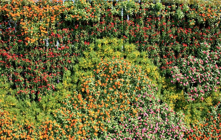 flower-wall-vertical-garden-2025-03-08-08-34-58-utc
