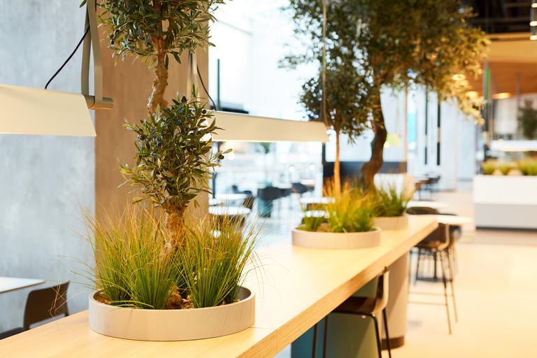 food-court-decorated-with-plants-2025-03-05-05-14-00-utc