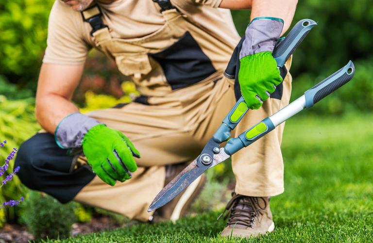 garden-worker-with-large-manual-hedge-trimmers-2025-03-15-02-49-37-utc