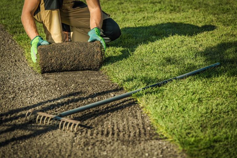 gardener-lay-the-turf-2025-03-13-02-51-27-utc