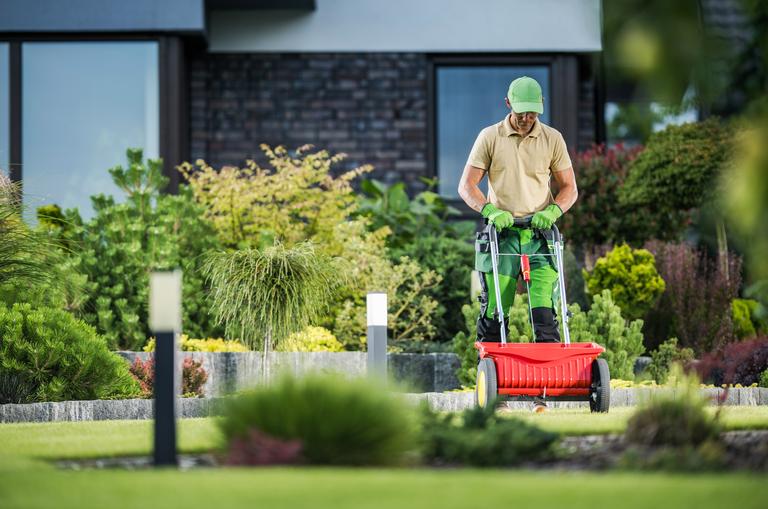 grass-fertilizing-using-push-spreader-2025-03-15-00-33-27-utc