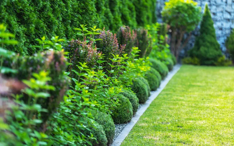 lush-garden-pathway-with-neatly-trimmed-shrubs-and-2025-03-15-22-02-29-utc