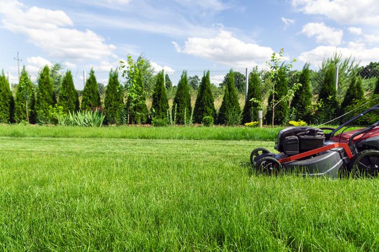 mowing-lawn-in-backyard-2025-01-29-02-06-41-utc