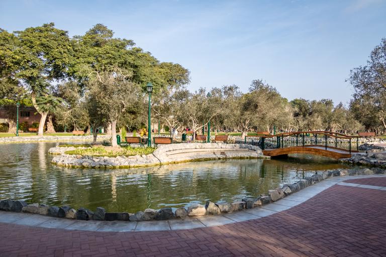olive-grove-park-or-el-olivar-forest-in-san-isid-2025-03-26-03-33-32-utc
