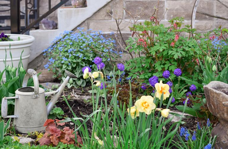 spring-perennial-flowerbed-in-the-front-yard-of-a-2025-03-12-21-11-11-utc