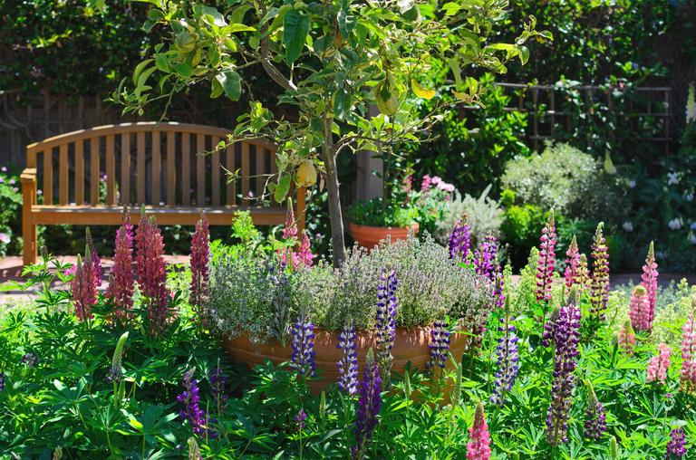 wooden-bench-surrounded-by-colorful-blooming-flowe-2024-11-30-12-06-16-utc